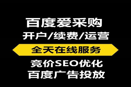 网络推广竞价策略解析与应用案例